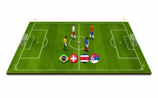 米兰体育网页版登录-青少年体育运动安全保障体系构建与应用研究，青少年体育工作